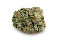 Kief - Yuzu Sherb - 3.5g